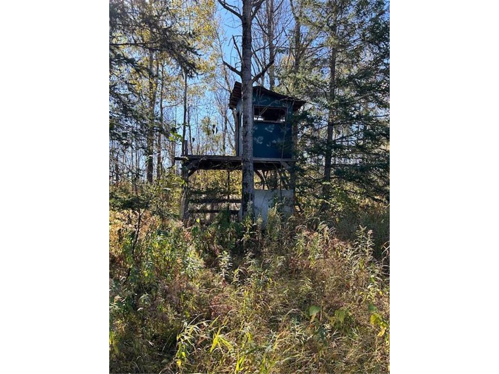 5996 76th Avenue NE Remer MN 56672 6614118 image1