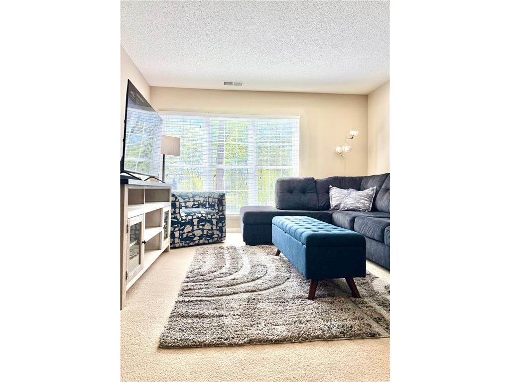 5998 Chasewood Parkway #002 Minnetonka MN 55343 7087513 image17