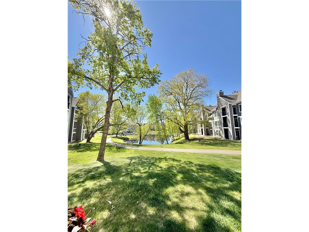 5998 Chasewood Parkway #002 Minnetonka MN 55343 7087513 image33