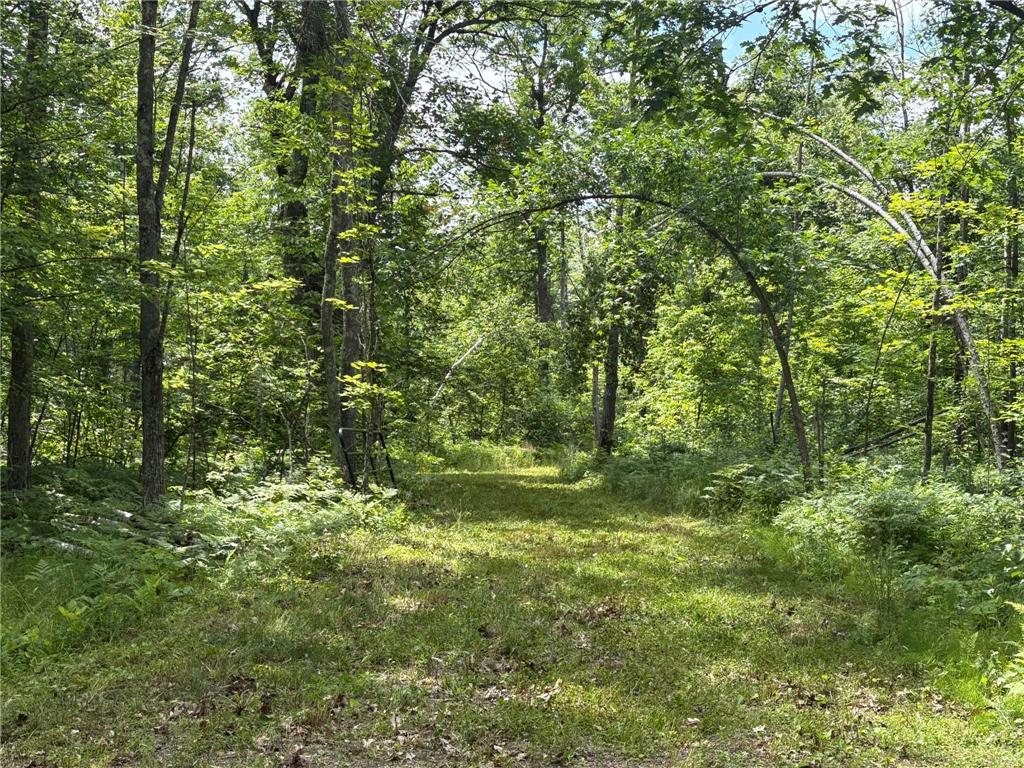 599XX Tamarack River Rd New Dosey Twp MN 55072 7072188 image1