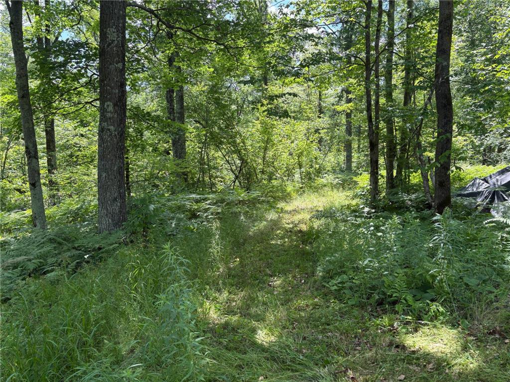 599XX Tamarack River Rd New Dosey Twp MN 55072 7072188 image2