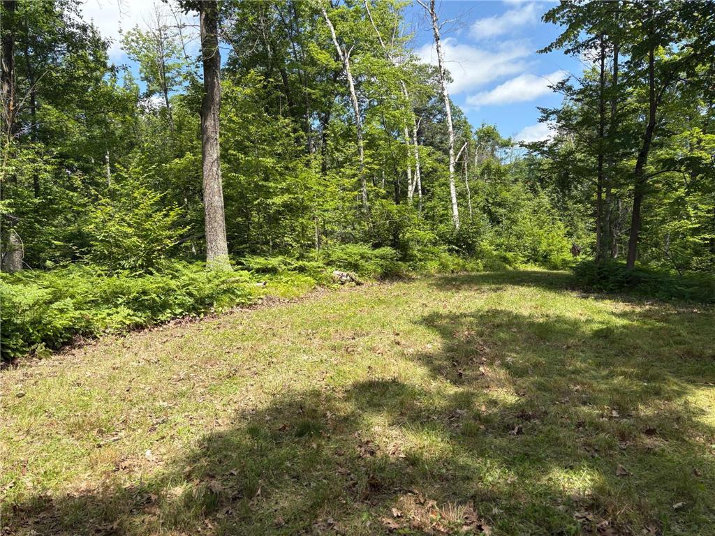 599XX Tamarack River Rd New Dosey Twp MN 55072 7072188 image3