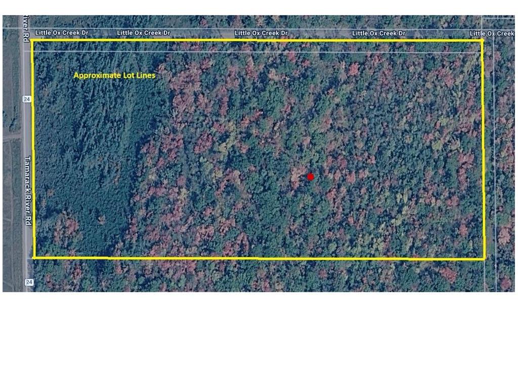 599XX Tamarack River Rd New Dosey Twp MN 55072 7072188 image7