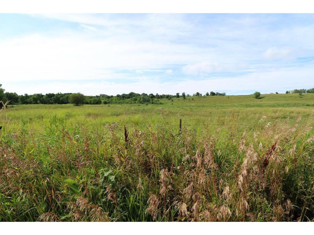 5xx West Ridge Road Courtland MN 56021 6814846 image11