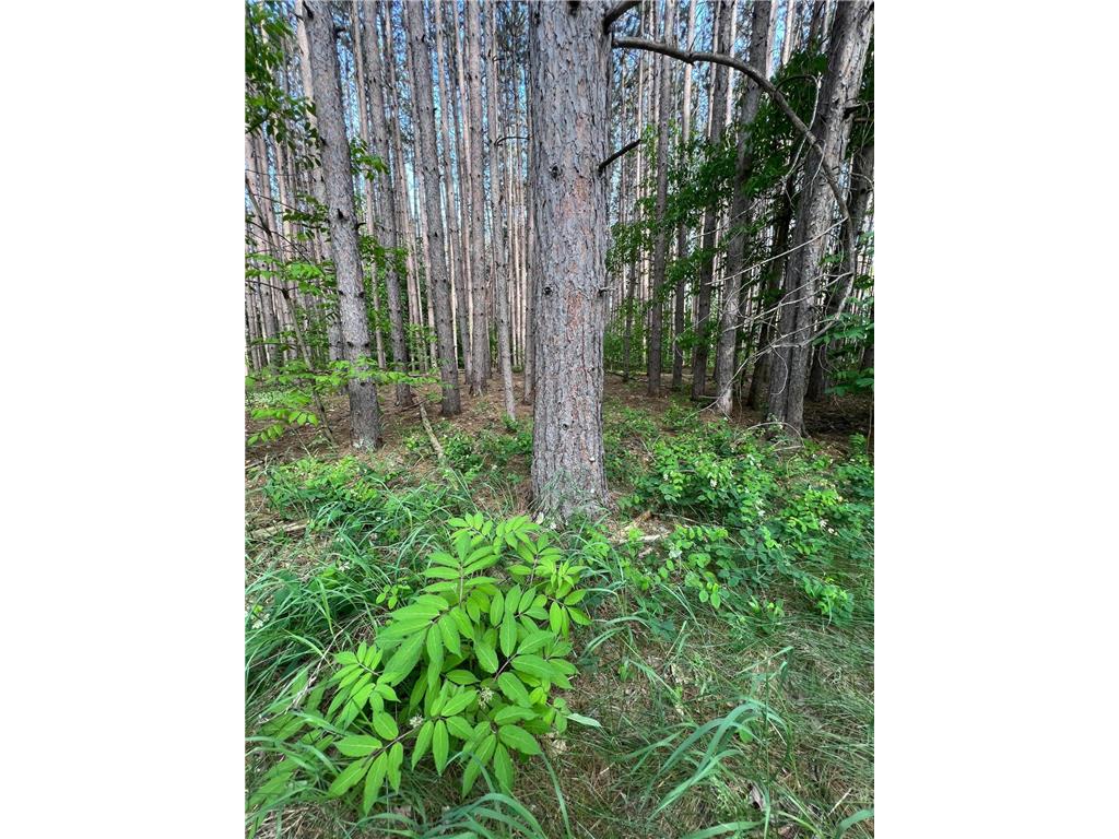 5xxx Banyan Drive Garrison MN 56450 6410151 image1