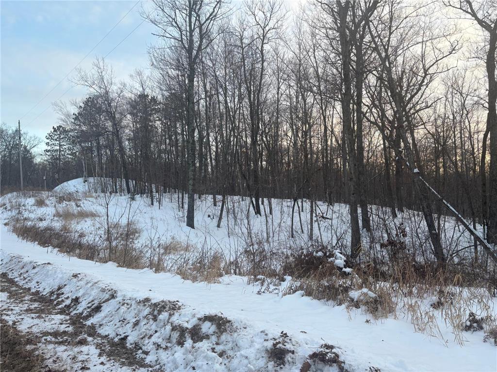 5xxx Banyan Drive Garrison MN 56450 6657026 image4