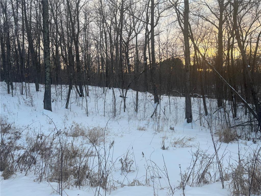 5xxx Banyan Drive Garrison MN 56450 6657026 image5