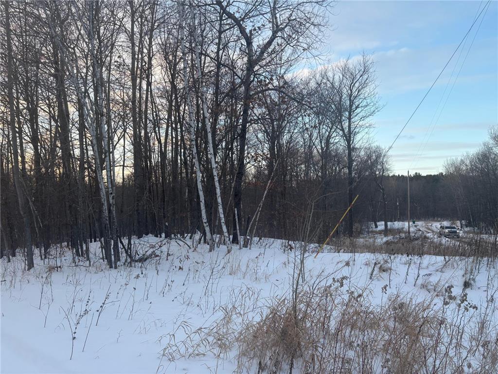 5xxx Banyan Drive Garrison MN 56450 6657026 image6