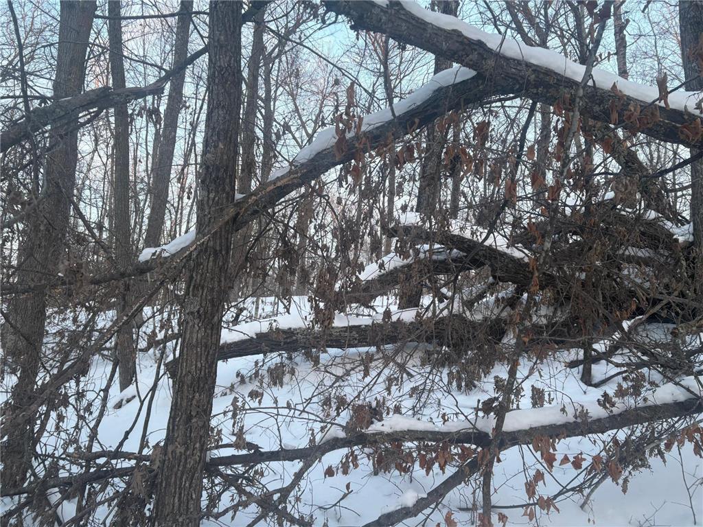 5xxx Banyan Drive Garrison MN 56450 6657026 image8