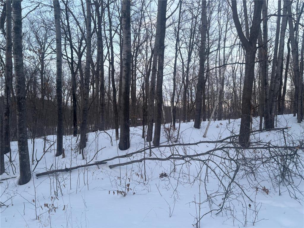 5xxx Banyan Drive Garrison MN 56450 6657026 image9