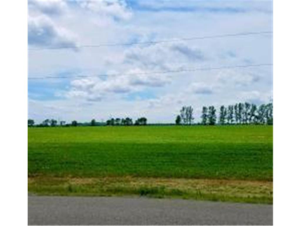 5xxx W Lake Burgen Road SE Alexandria MN 56308 6412185 image4