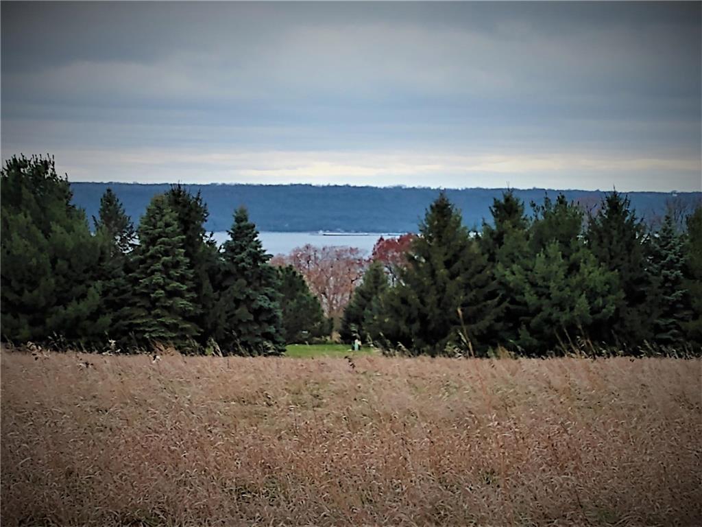 6.07 Acres 451st, Maiden Rock, WI 54750 MLS 5732085 Edina Realty