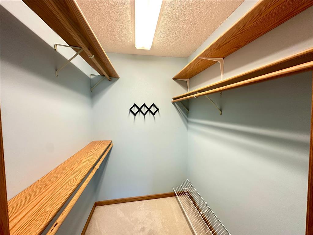 6 Oak Ridge Trail Circle Pines MN 55014 7095299 image17
