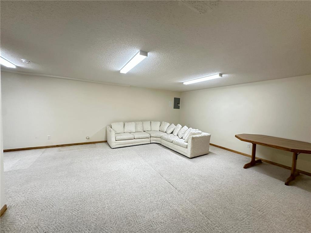 6 Oak Ridge Trail Circle Pines MN 55014 7095299 image25