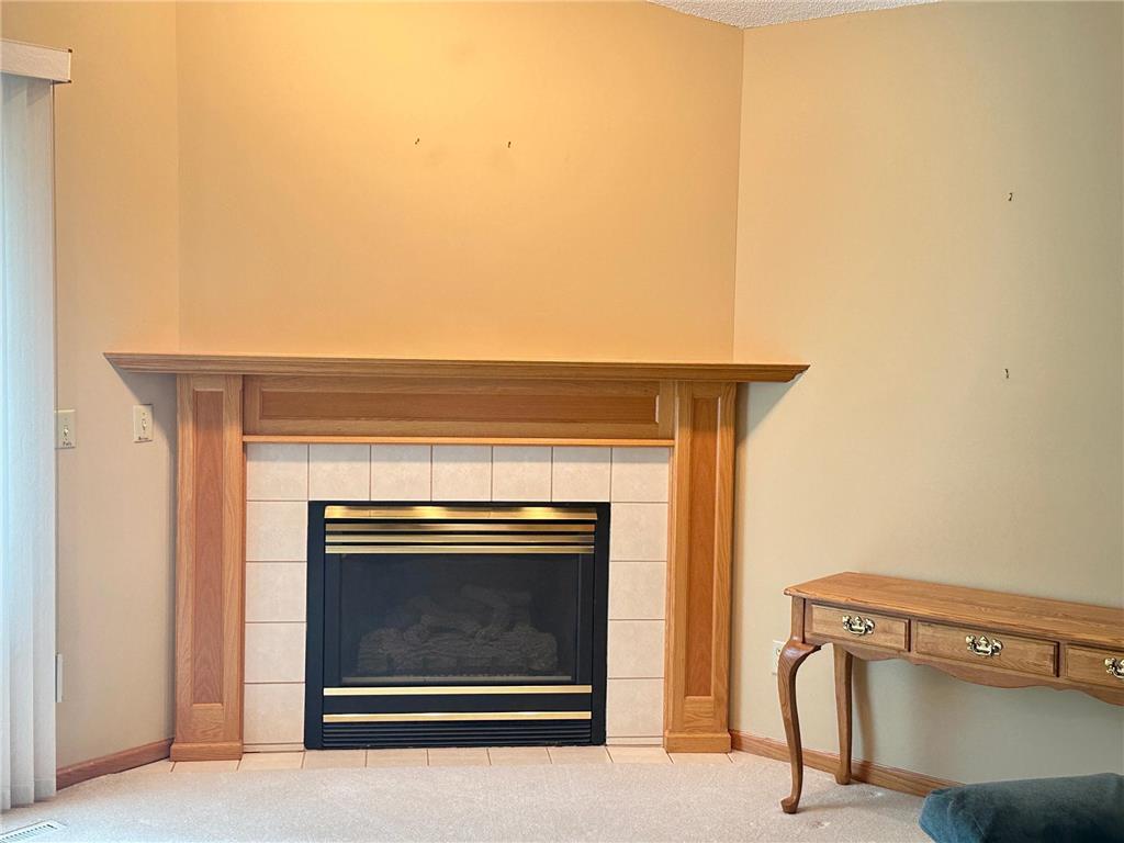 6 Oak Ridge Trail Circle Pines MN 55014 7095299 image9