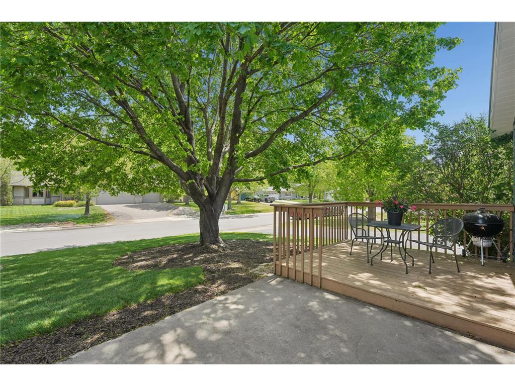 6 Oak Road #B Circle Pines MN 55014 7074788 image26