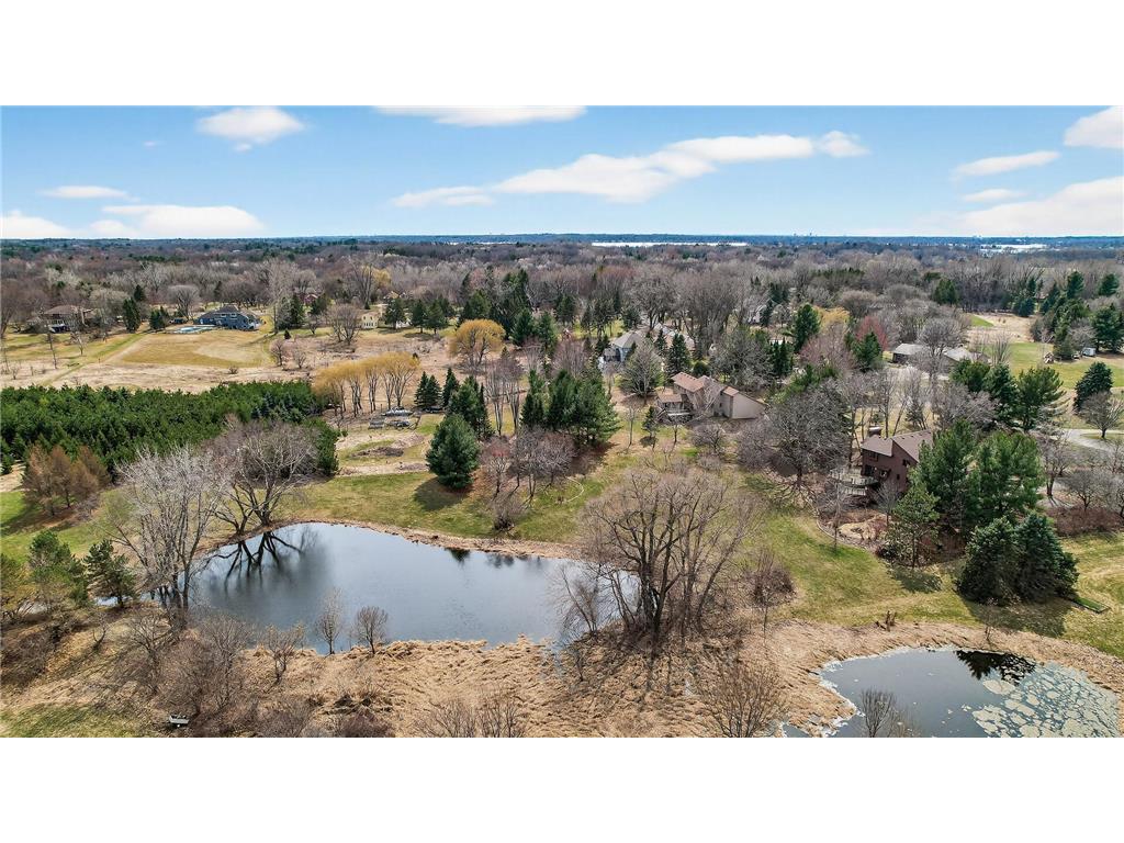 6 Pine Valley Drive Dellwood MN 55110 7029829 image44