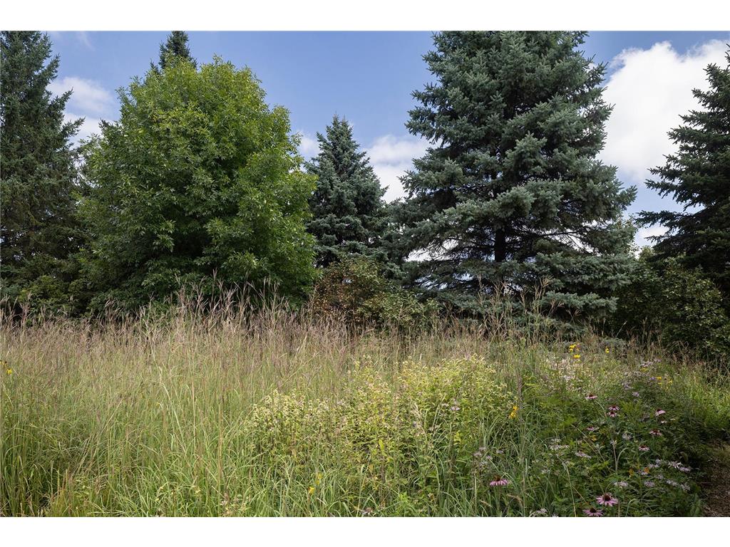 6 Robb Farm Road North Oaks MN 55127 7066396 image48