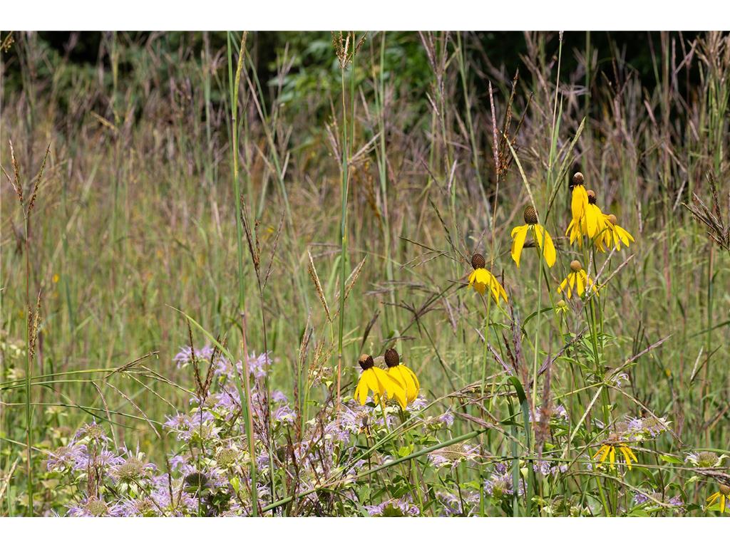 6 Robb Farm Road North Oaks MN 55127 7066396 image49