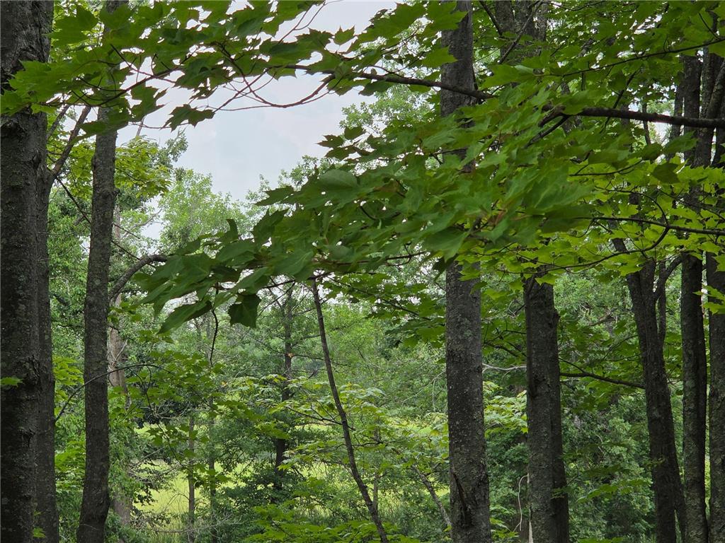 60 Polk Street Cohasset MN 55721 6767607 image23