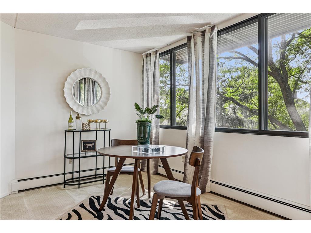 600 4th Street SW #406 Rochester MN 55902 6782698 image10