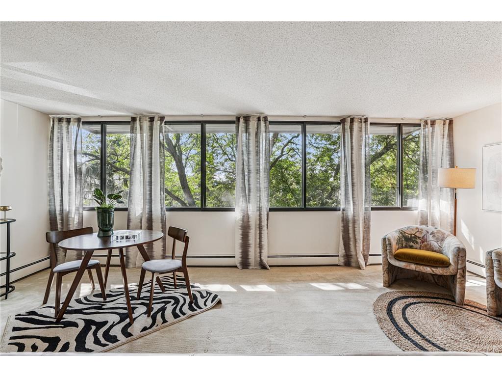 600 4th Street SW #406 Rochester MN 55902 6782698 image13