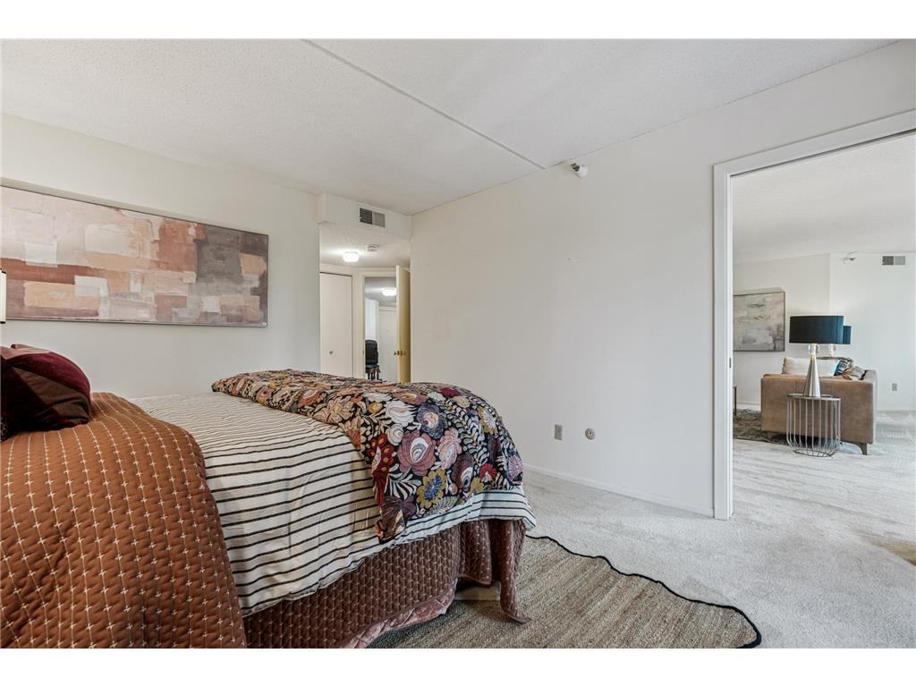 600 4th Street SW #406 Rochester MN 55902 6782698 image21