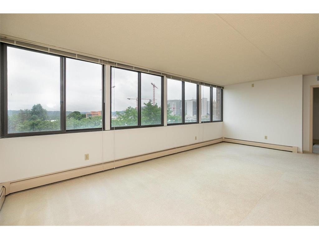 600 4th Street SW #605 Rochester MN 55902 7094228 image2