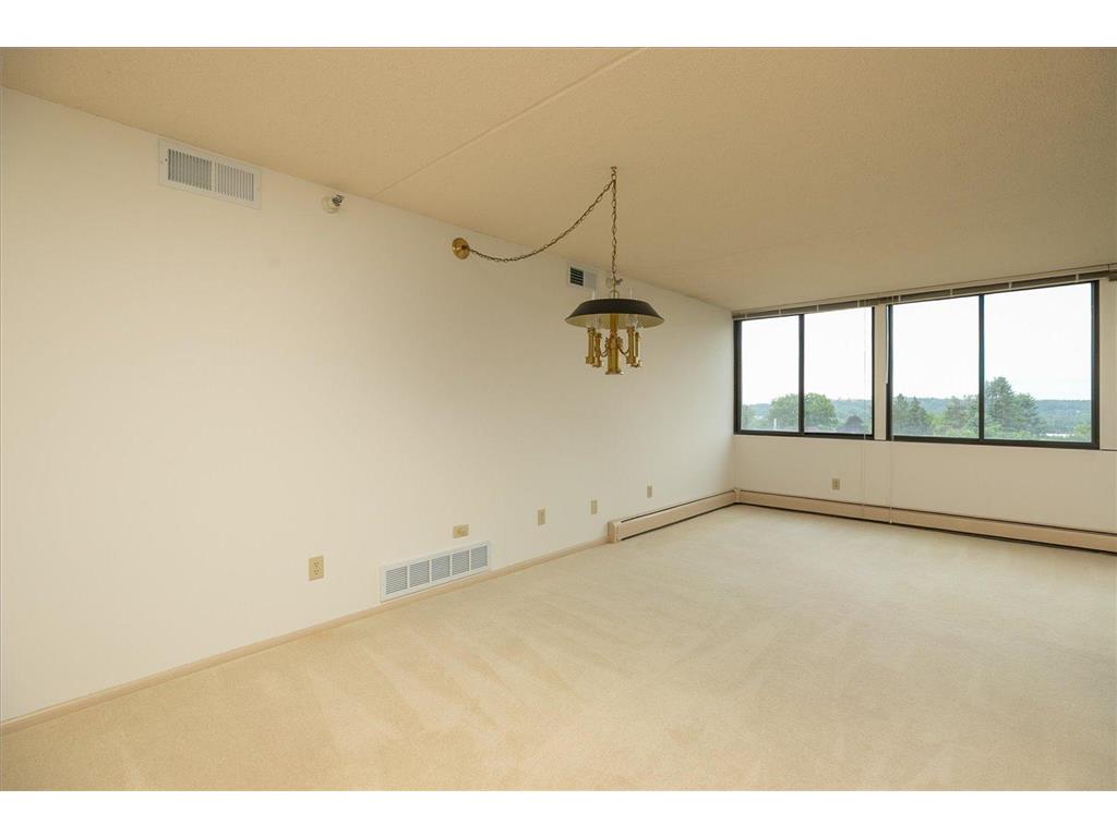 600 4th Street SW #605 Rochester MN 55902 7094228 image7