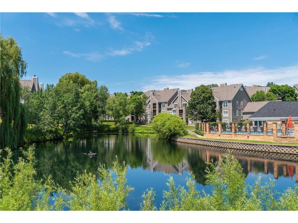 6000 Chasewood Parkway #204 Minnetonka MN 55343 7067481 image32