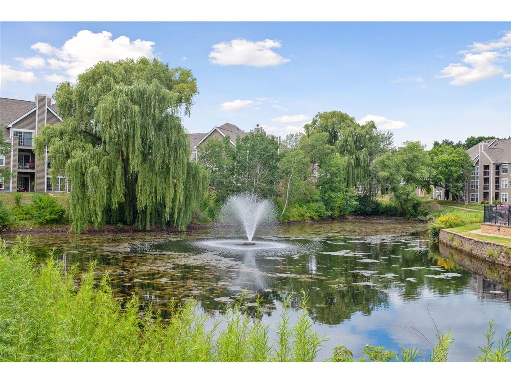 6000 Chasewood Parkway #204 Minnetonka MN 55343 7067481 image42