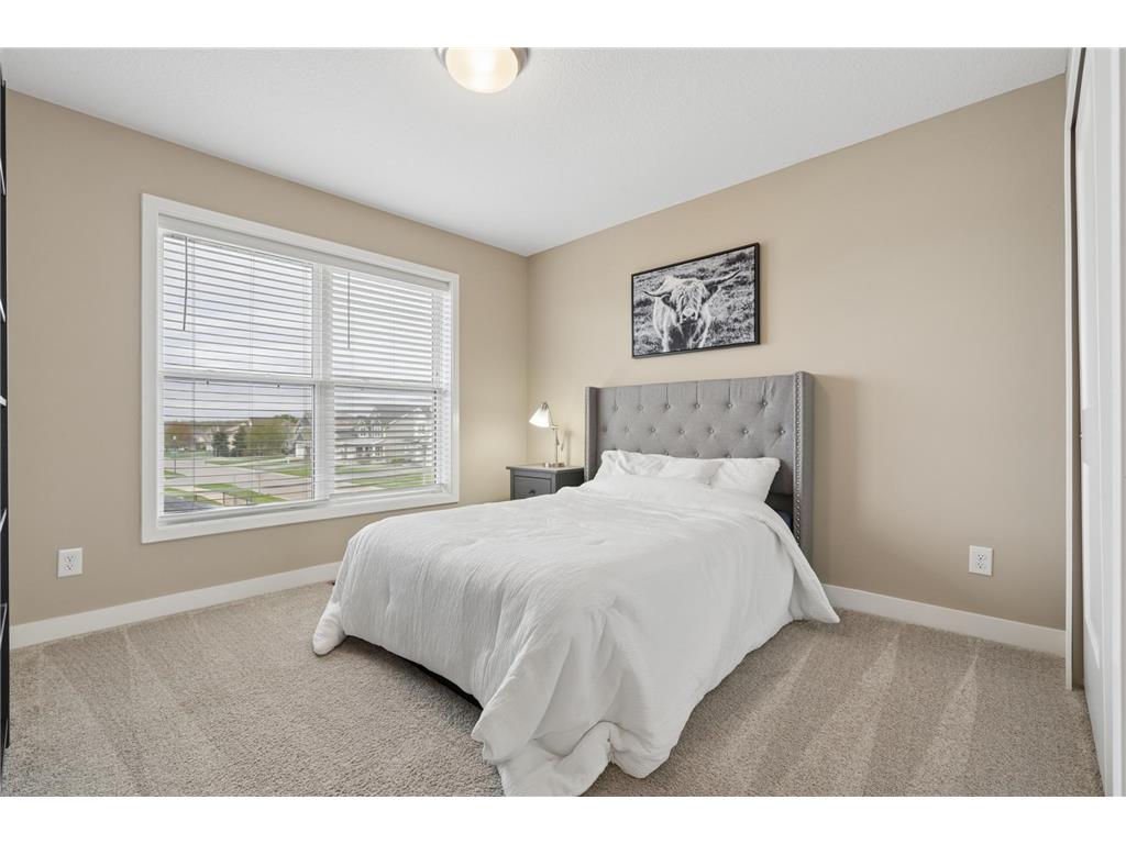 6004 Idsen Lane S Cottage Grove MN 55016 7058780 image17