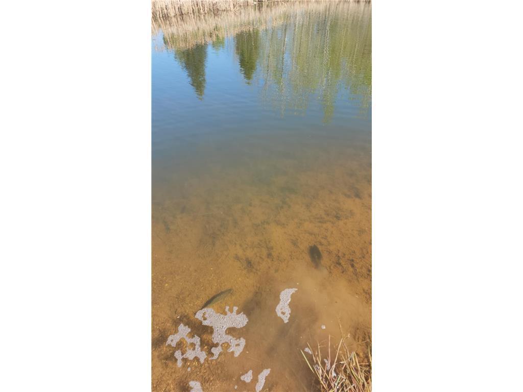 60047 Finlayson Road Pine Lake Twp MN 55735 - Miller 7020498 image50