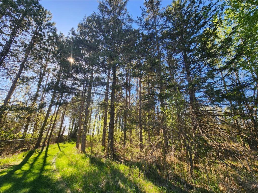 60047 Finlayson Road Pine Lake Twp MN 55735 - Miller 7020498 image55