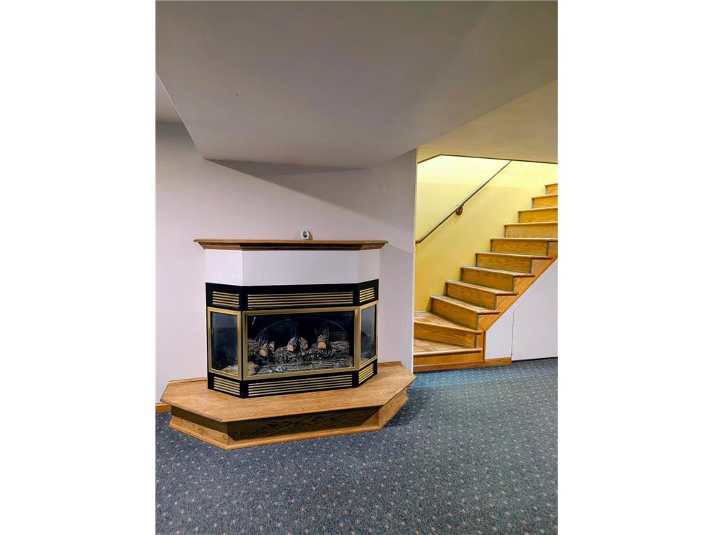 6005 30th Avenue SW Sparta Twp MN 56265 7005111 image40