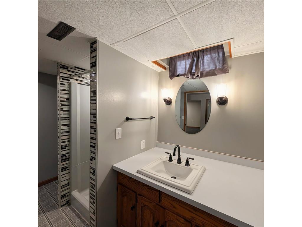 6005 30th Avenue SW Sparta Twp MN 56265 7005111 image50