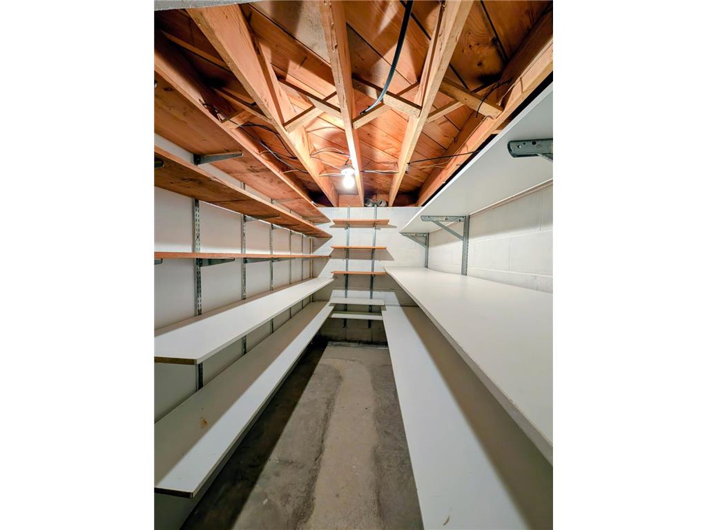 6005 30th Avenue SW Sparta Twp MN 56265 7005111 image54