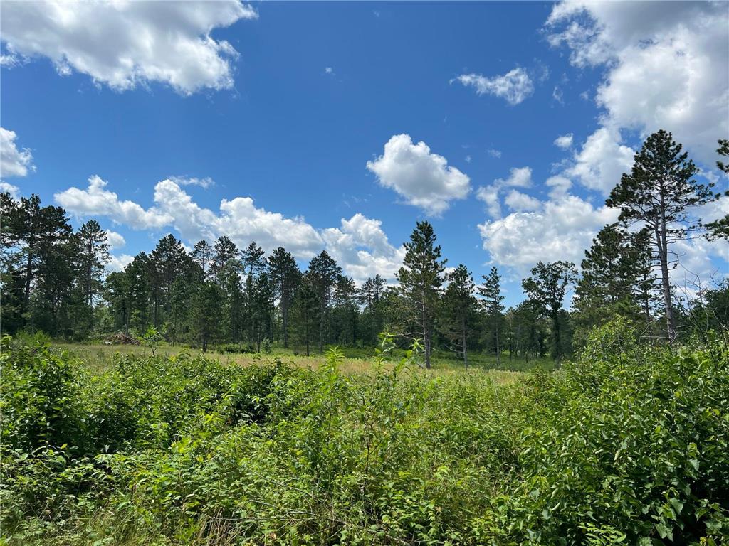 6005 Oakdale Road Baxter MN 56425 7014740 image5