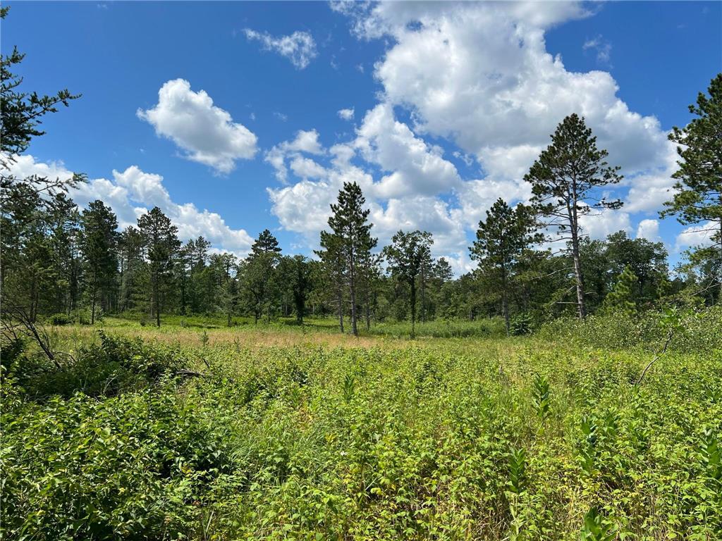 6005 Oakdale Road Baxter MN 56425 7014740 image6