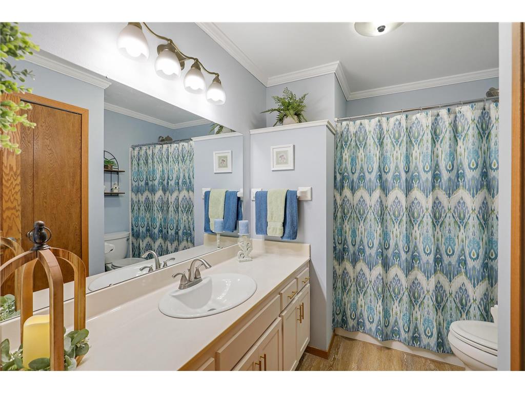 6008 114th Lane N Champlin MN 55316 7058770 image23