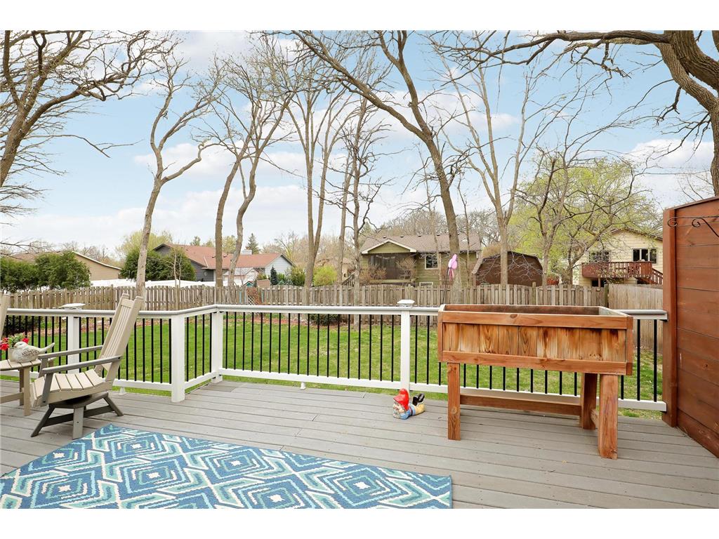 6008 114th Lane N Champlin MN 55316 7058770 image43