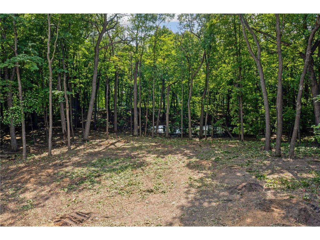 601 Fox Hill Drive Chanhassen MN 55317 - Lotus Lake 7036633 image2