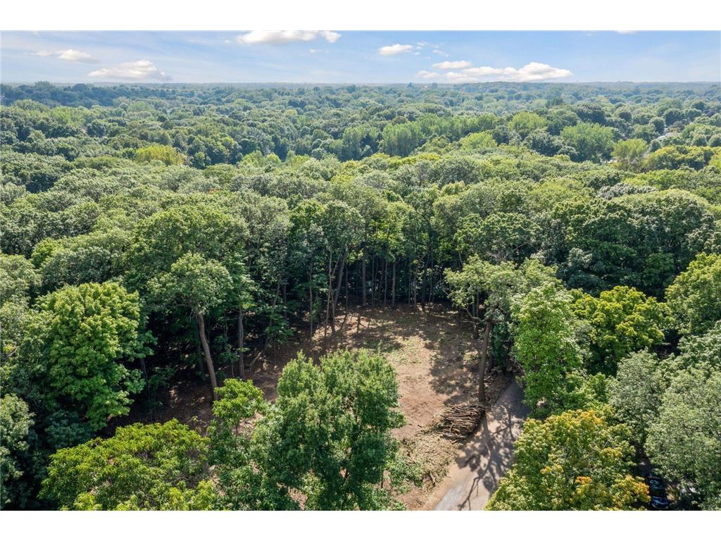 601 Fox Hill Drive Chanhassen MN 55317 - Lotus Lake 7036633 image4