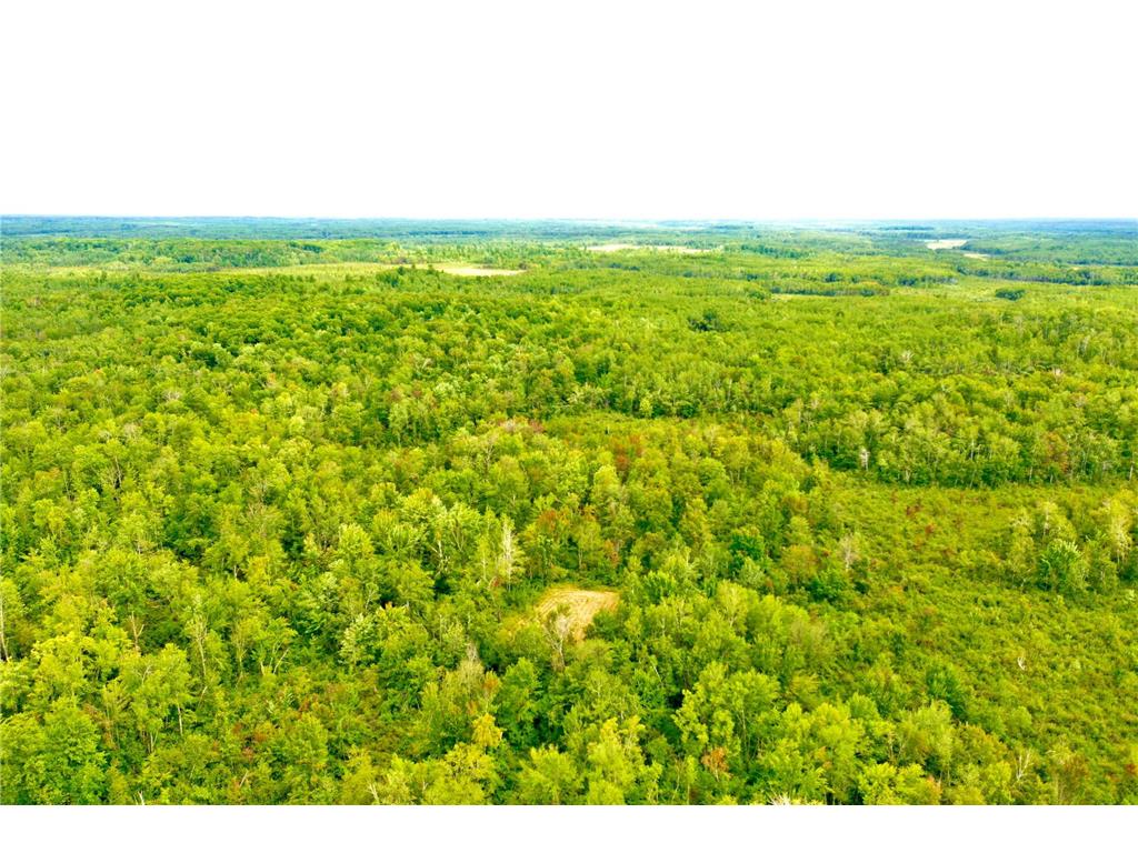 60115 Rutabaga Road New Dosey Twp MN 55072 6588955 image1