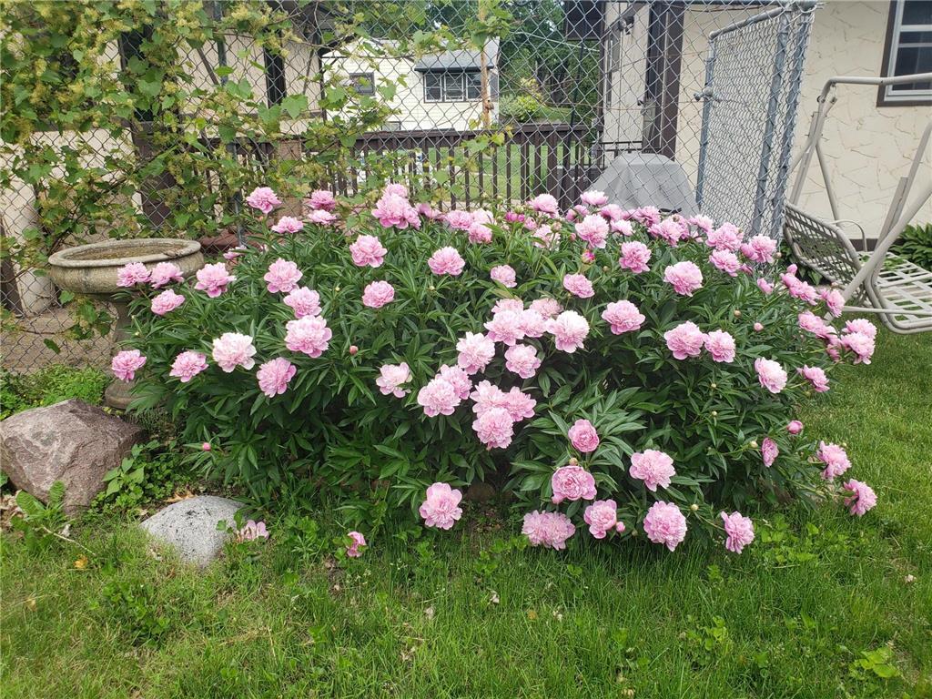 6019 Cherrywood Road Mound MN 55364 - Lake Minnetonka 6811728 image35