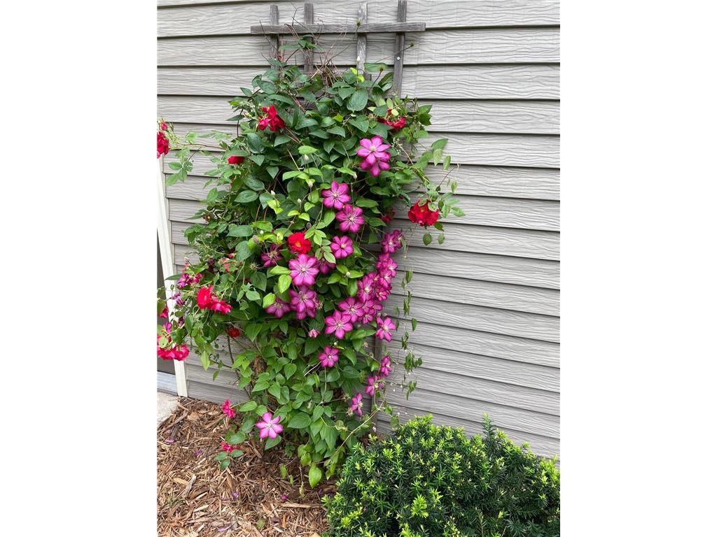 602 6th Avenue SW Austin MN 55912 7025978 image42