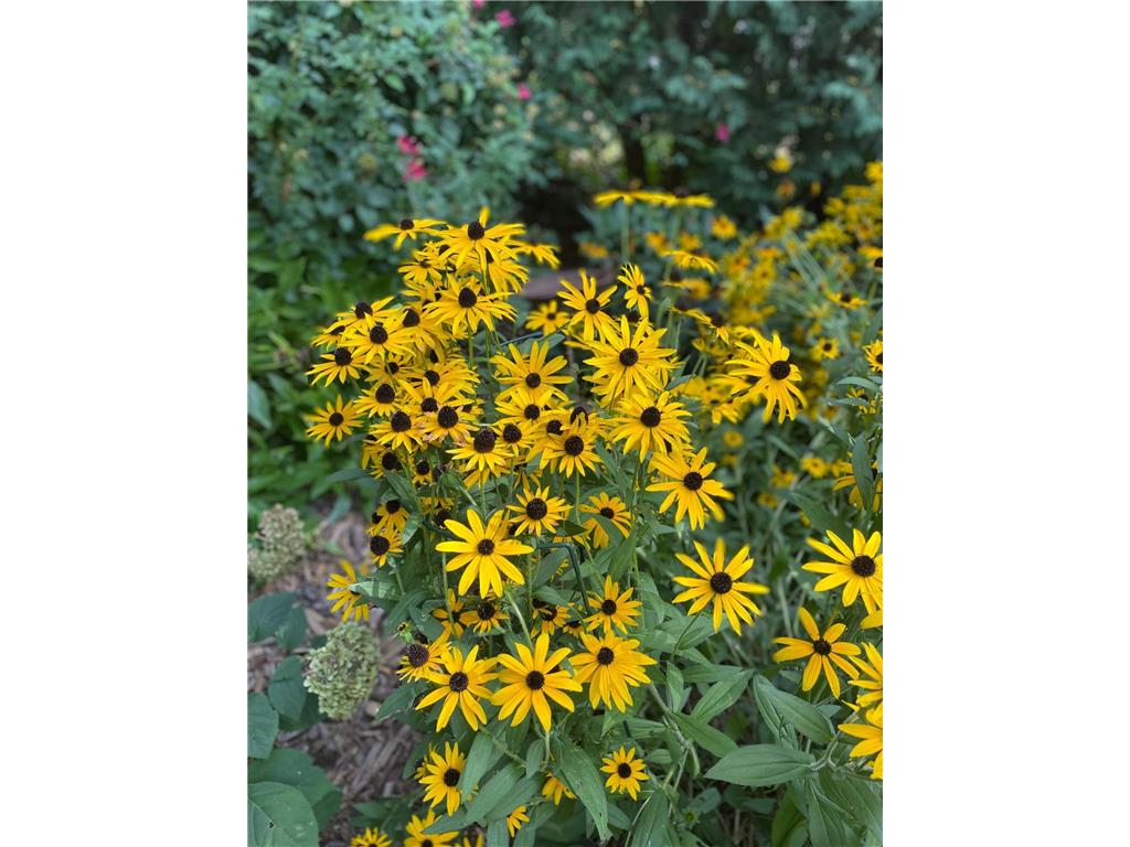 602 6th Avenue SW Austin MN 55912 7025978 image53