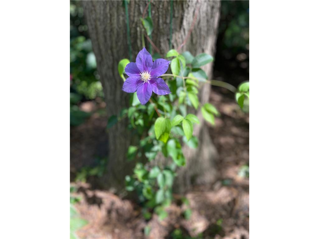 602 6th Avenue SW Austin MN 55912 7025978 image54