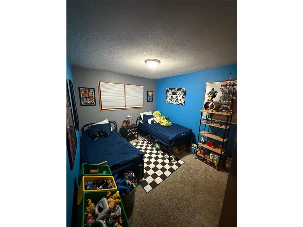 602 E Jessie St Rushford MN 55971 7060411 image9