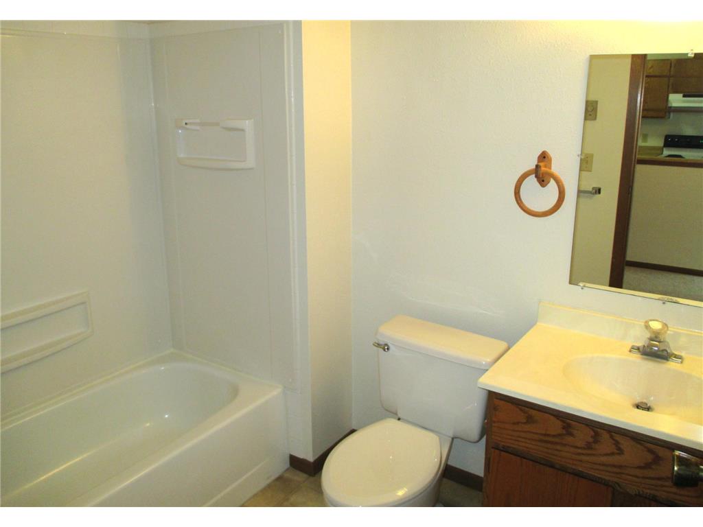 602 E Warren Street #15 Luverne MN 56156 6816296 image9